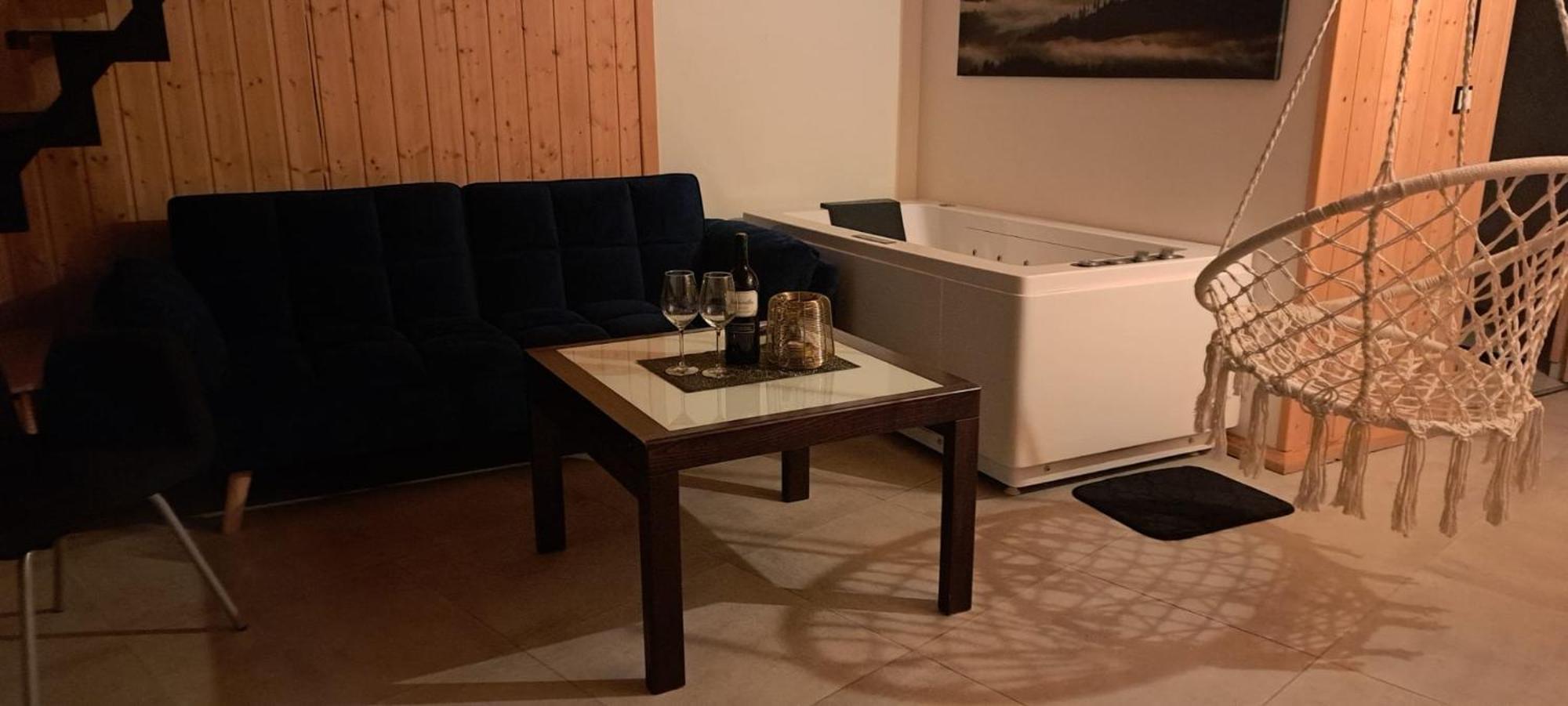 Mecenasa Apartment Nieledwia